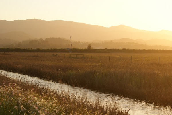 novato sunset